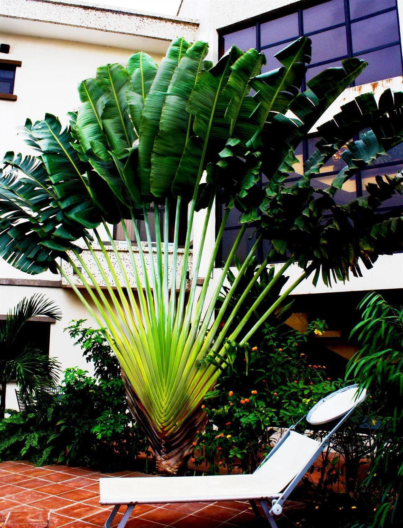 Three Arms Hotel Lagos Exterior foto